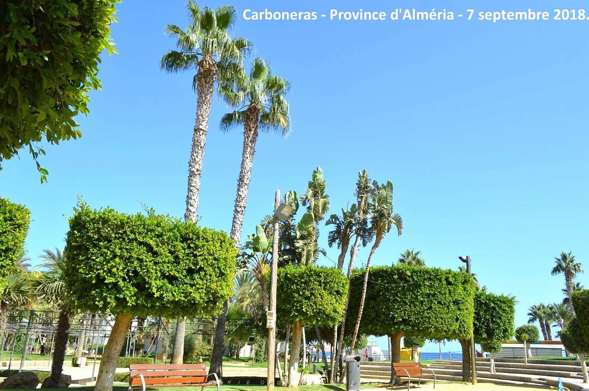 12 CARBONERAS - PROVINCE D ALMERIA 7 09 2018 (38).JPG